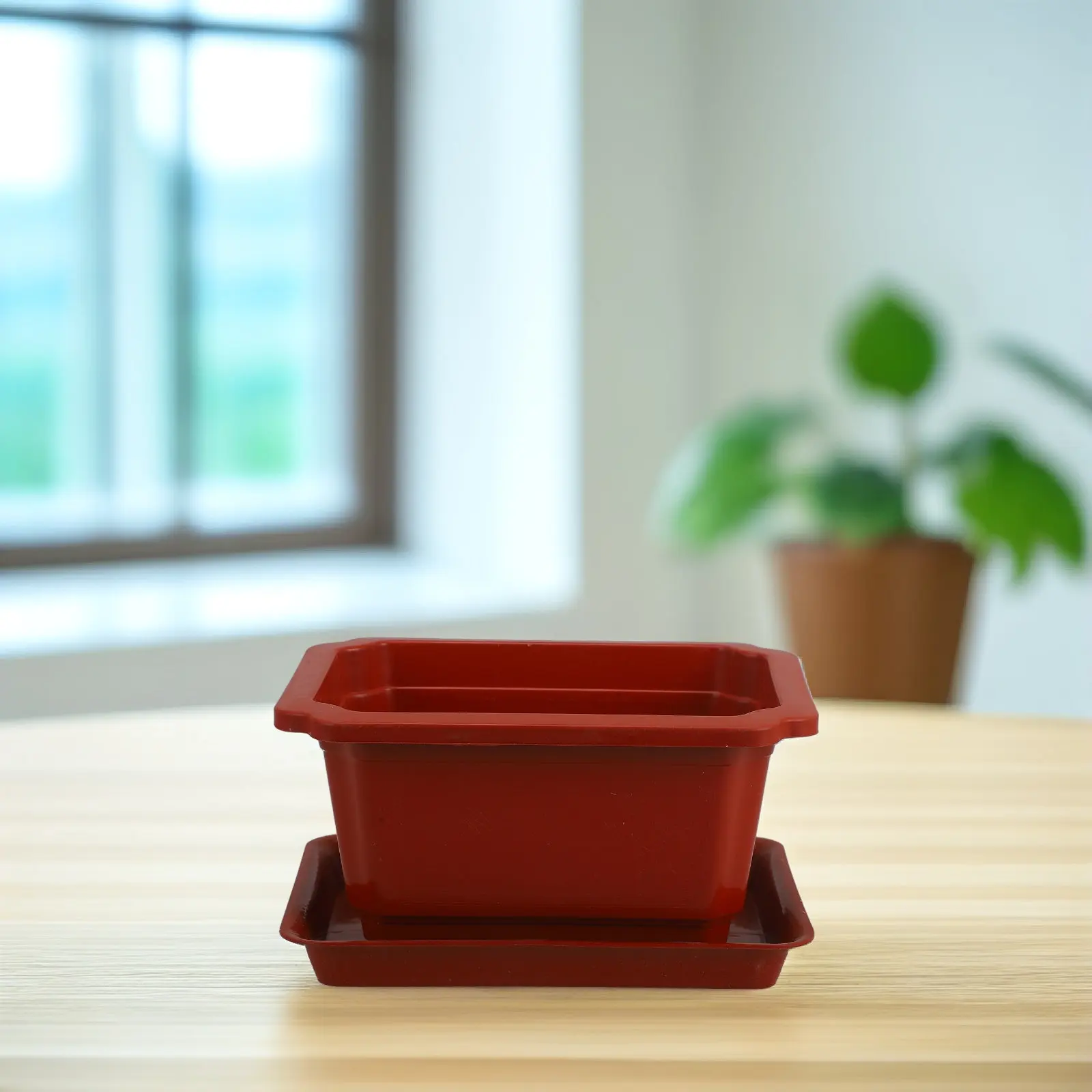 

5 комплектов пластиковых горшков для суккулентов с поддонами, большие кашпо для бонсай, многоразовые контейнеры для растений для сада и домашнего декора