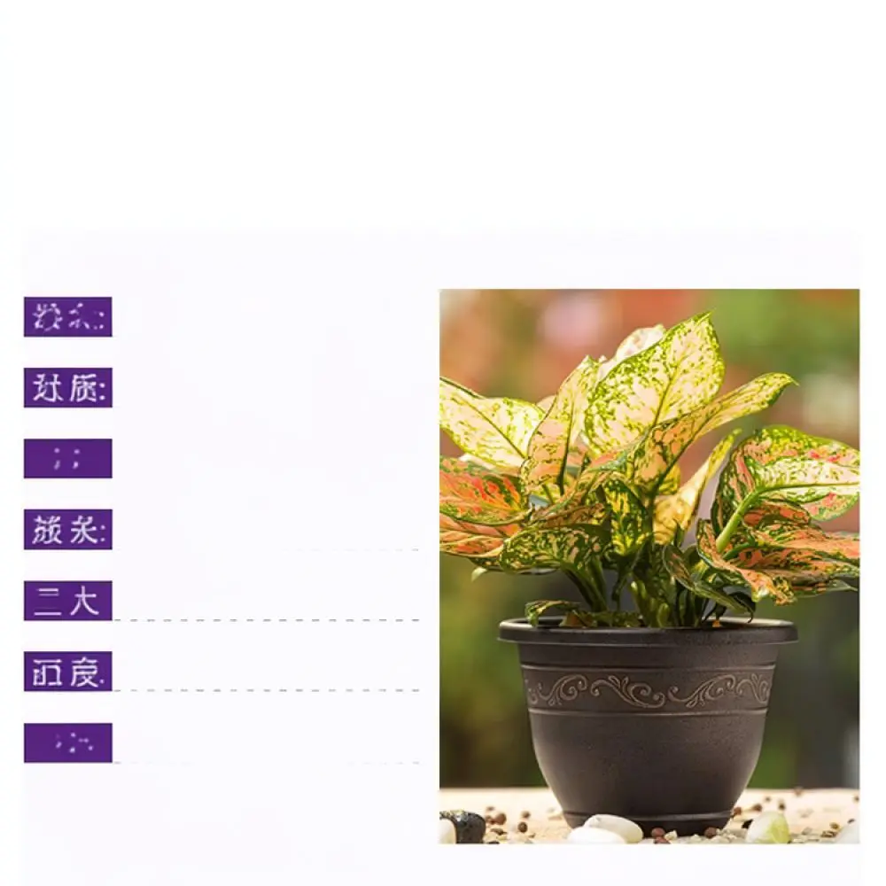 Thickened Resin Plant Container Vintage Copper Finish Garden Flower Pot Breathable Succulent Basin Home Balcony Supplies
