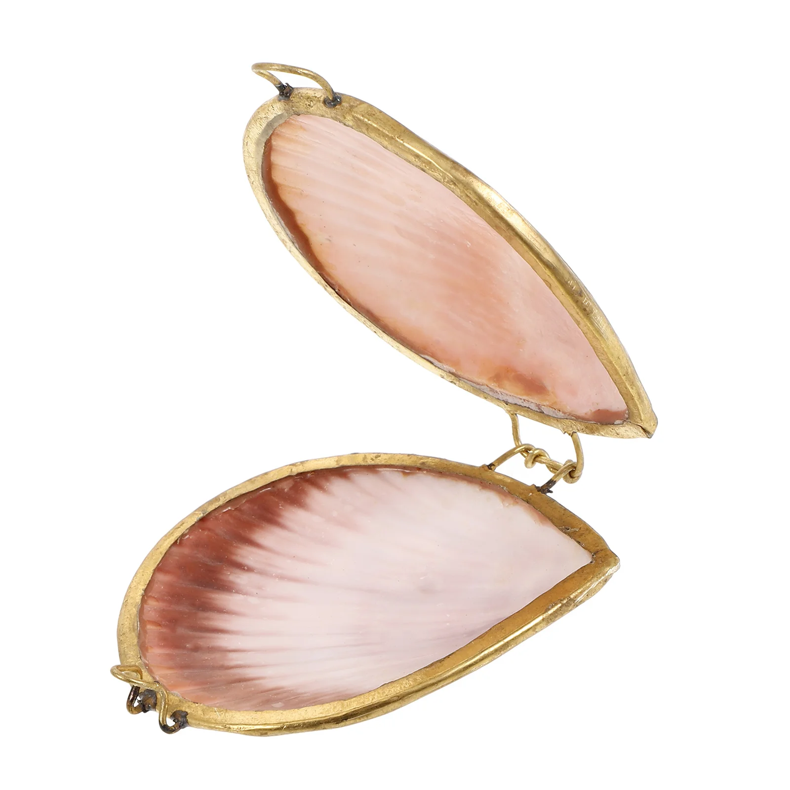 

Shell Jewelry Box Ring Holder Seashell Storage Case Clam Shells Shaped Container Hinged Desktop