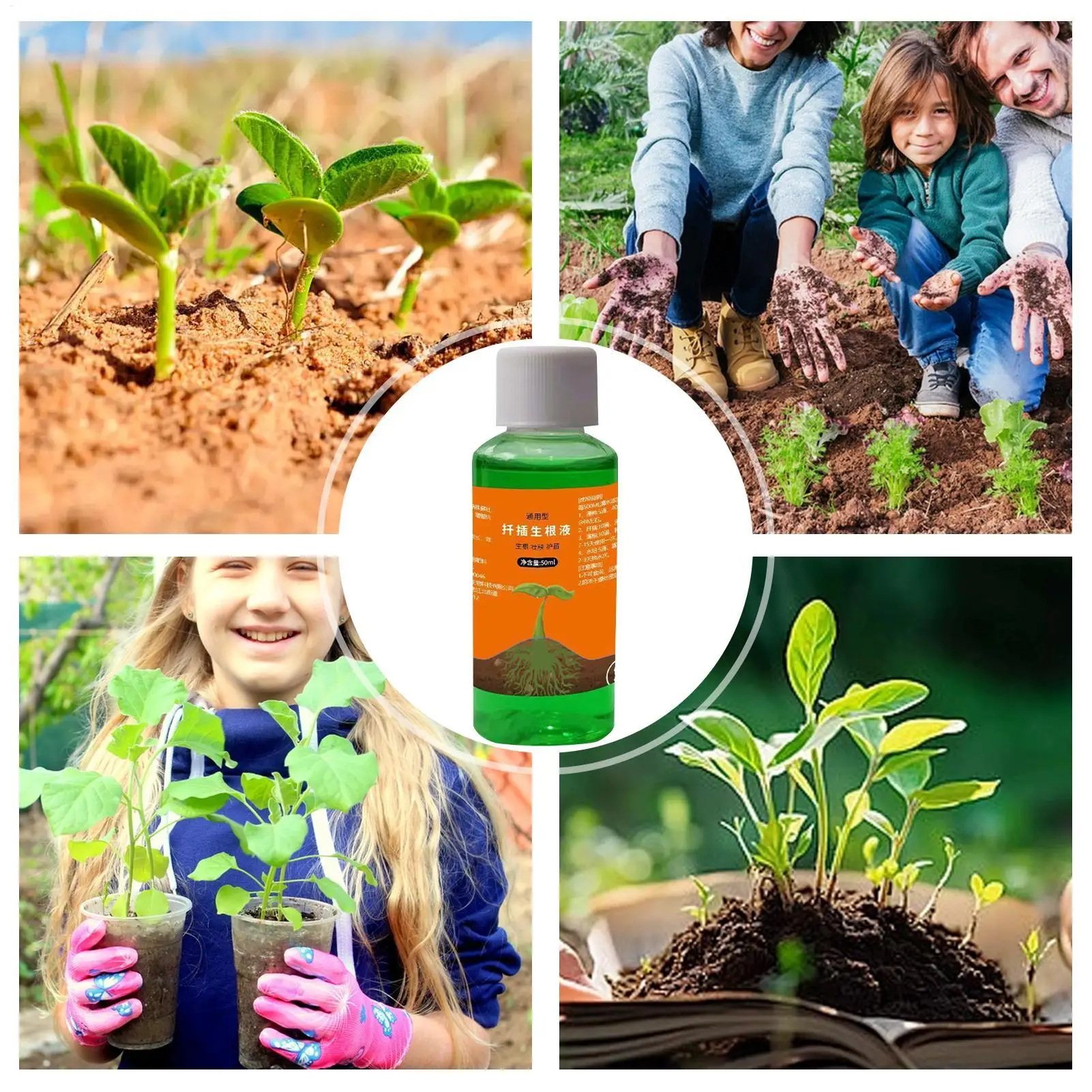 High-Efficiency Root Stimulator for Plant Cuttings Rooting Promoter Agent Fast Root Grow Powder for Garden Plants Transplanting