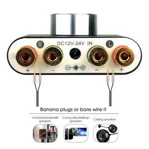 Mini güç amplifikatörü 100w'nin en iyi 10 satışı-5 numara