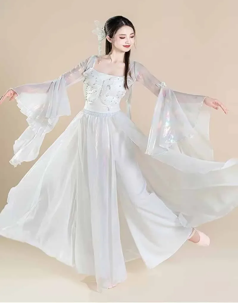 Trajes de actuación de bailarina clásica china, pantalones de gasa de mariposa, ropa de práctica, rima corporal, vestido de baile de estilo chino