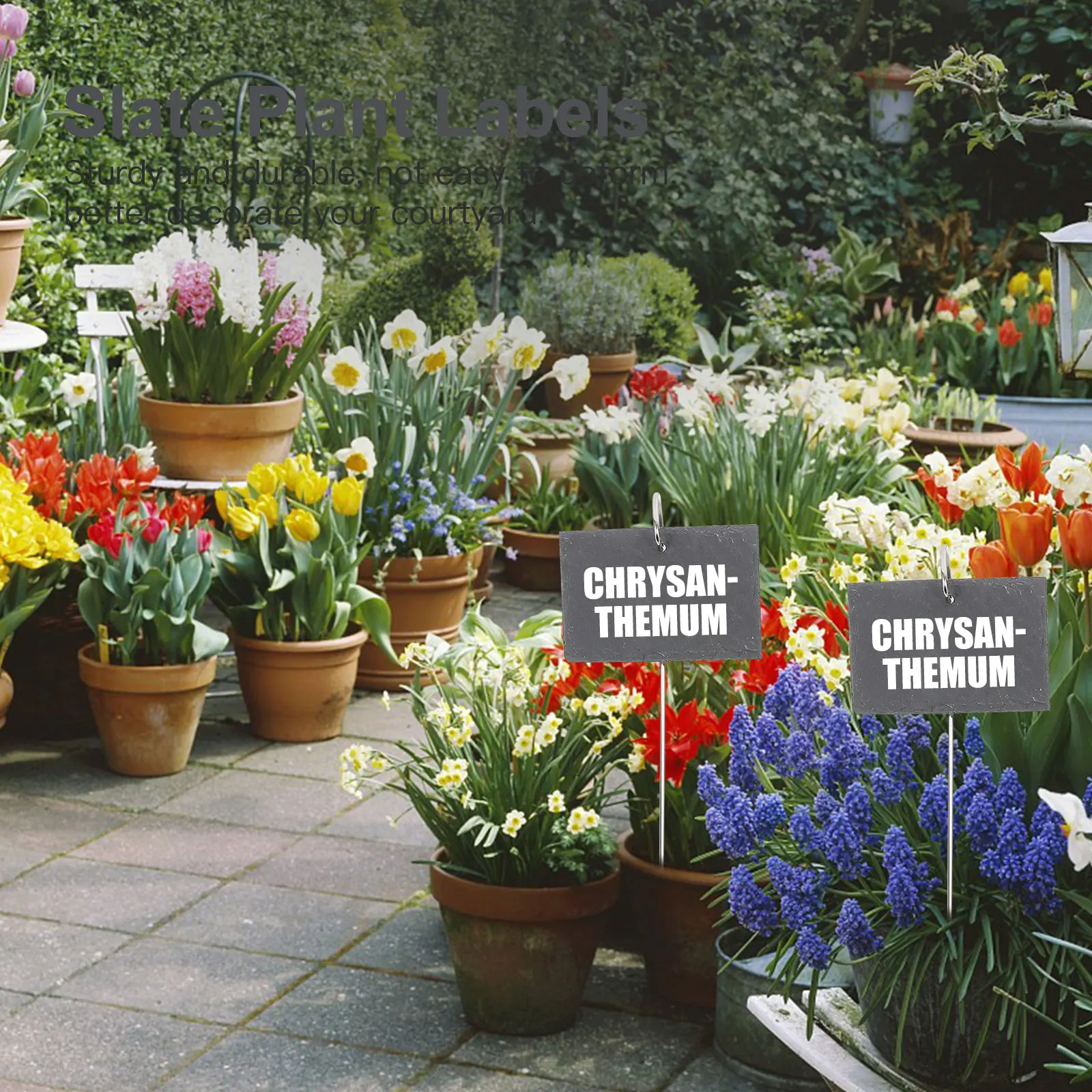 

1Set Plant Labels Lightweight Portable Gardening Supplies Perfect Gift Idea for Friends Easy to for Plant