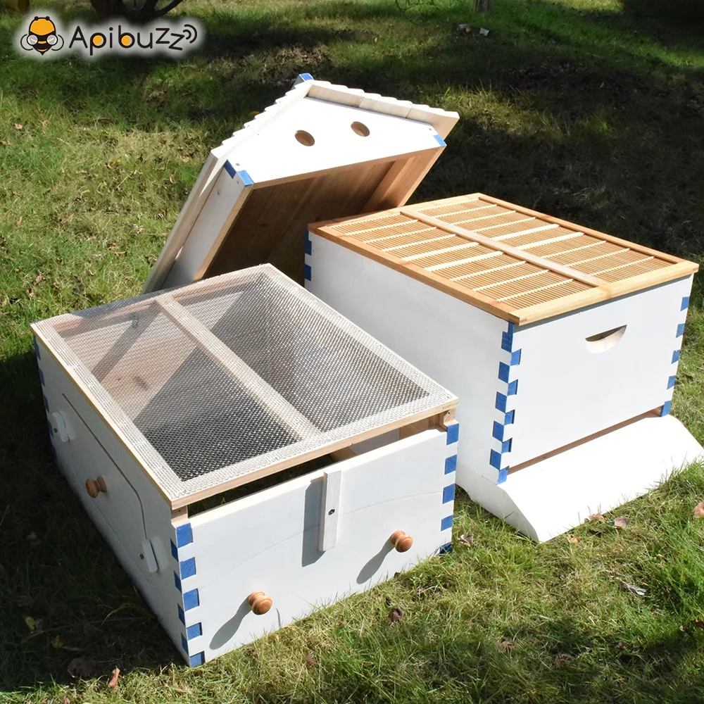 Chinese Painted Wooden Automatic Self-Flowing Beehive 7 Auto Frames Set Bee Hive Supplies Beekeeping Material Apiculture Colmena