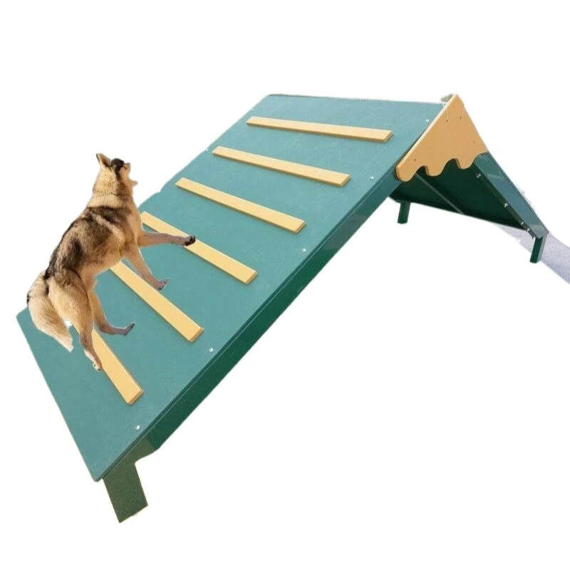 لطيف الحيوانات الأليفة الجنة الشرطة الكلب الكلب التدريب التكامل الحسي الحفر تسلق القفز تسلق سوينغ حول قضيب المادية