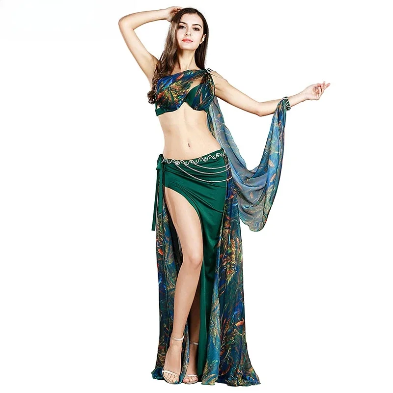 Professional belly dance costumes Sexy Printed Belly dancing bra+skirt+waist chain+armbands belly dance Dress dancing wear