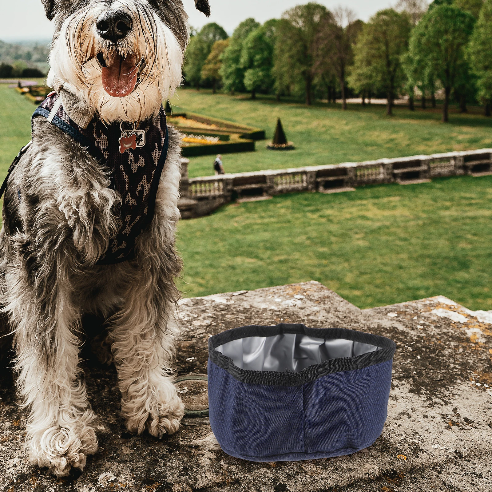 

Portable Folding Dog Food Bowl Outdoor Pet Water Puppy Training Bag Pvea Foldable Travel