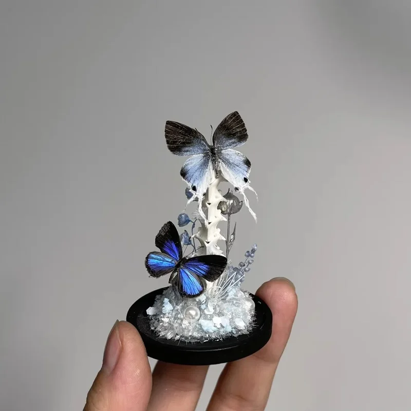 Butterfly in Glass Dome, Handmade Artwork Ornament, BJD Prop, Aesthetic Home Decor, Halloween & Birthday Art Piece