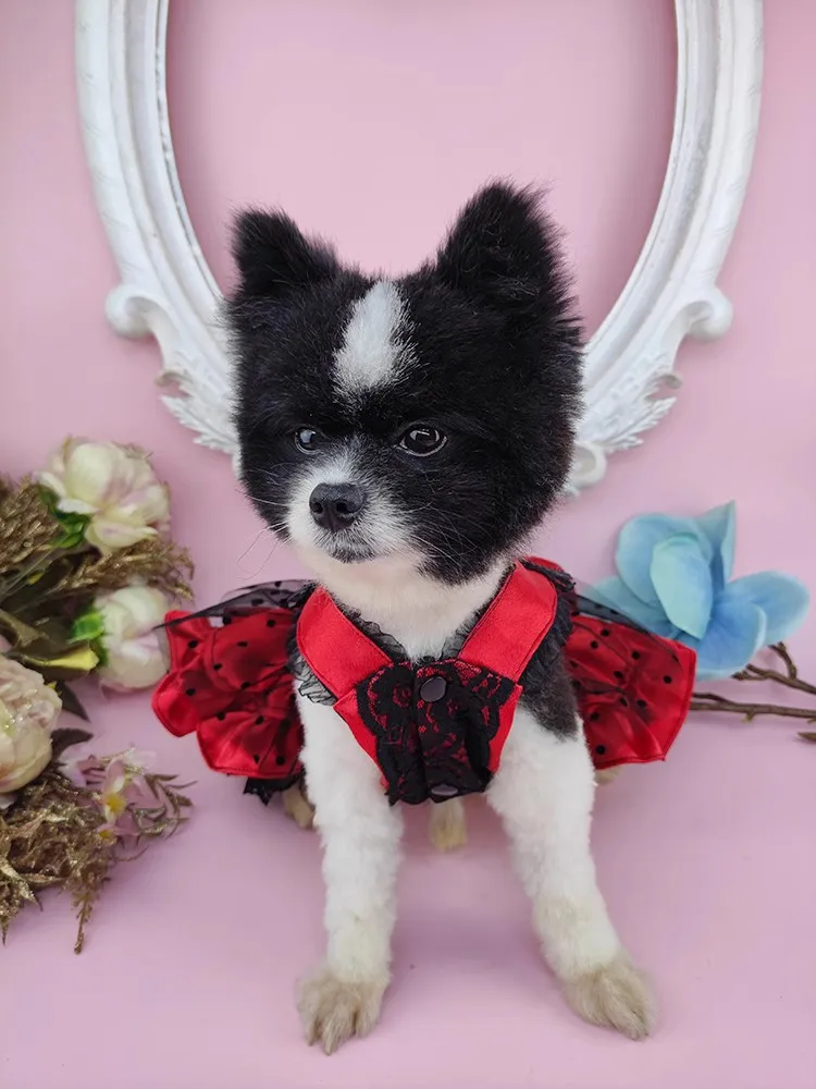 Handmade Dog Clothes Pet Supplies Unique Design Princess Dress Classic Black Red Satin Dot Grenadine Shine Gem Accessories Party