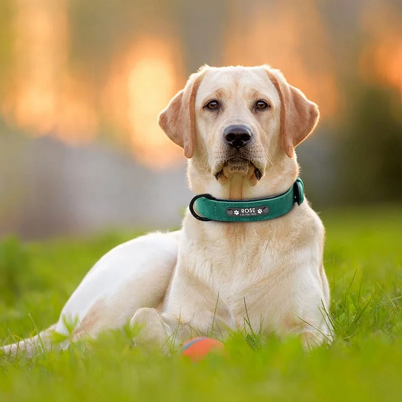 Hot Sale Luxury Training Custom Luxury Manufacturer Dog Collar PU Leather Pet Collar