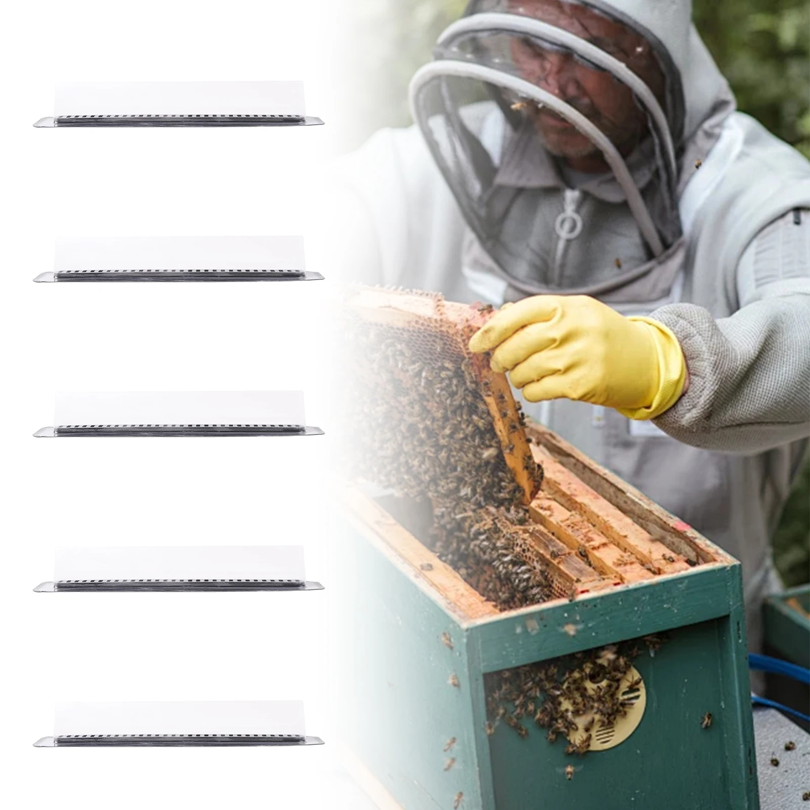 مصيدة خنفساء خلية النحل القابلة لإعادة الاستخدام ، مصيدة النحل للحماية ، معدات احتجاز مستعمرات النحل ، أدوات خلية النحل ، 5 أو 20 أو