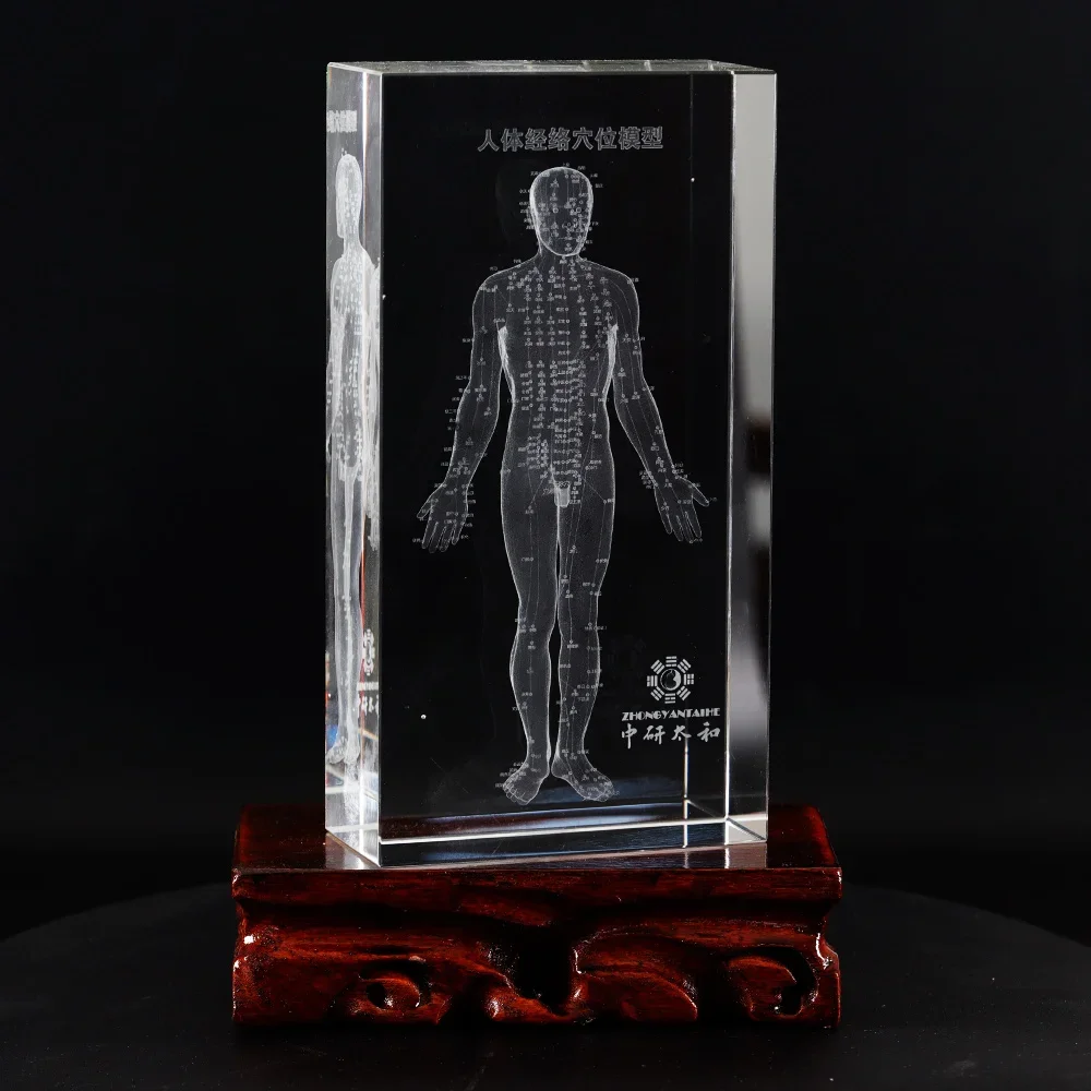 

ZHONGYAN TAIHE Very Beautiful Multi Organ Crystal Ornament Accurate Labeling Transparent Human Organs Crystal Ornament