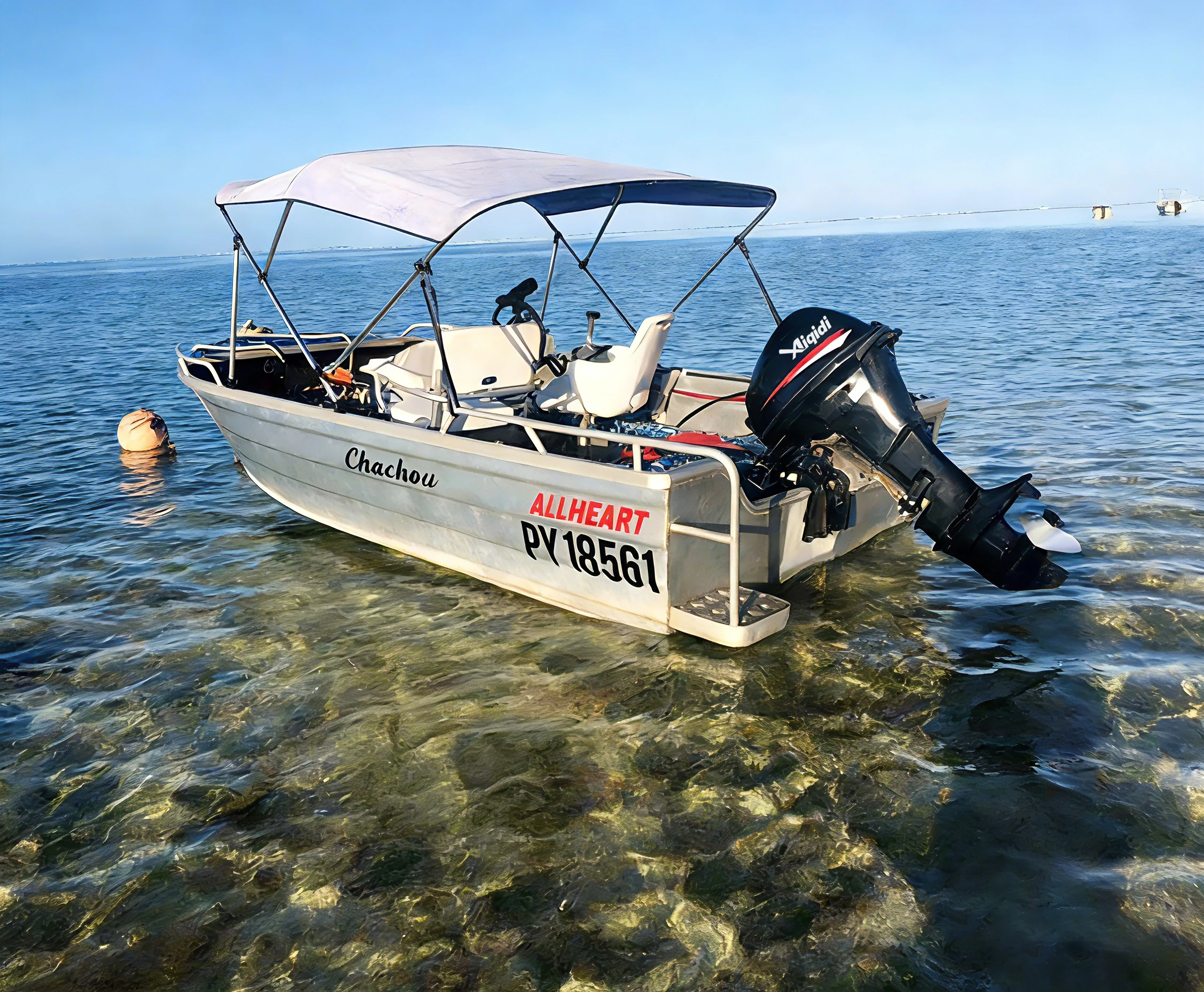 AIQIDI F20 Marine Boat Engine 20HP 4 Stroke Remote/Tiller Control Water Cooling Outboard Motor