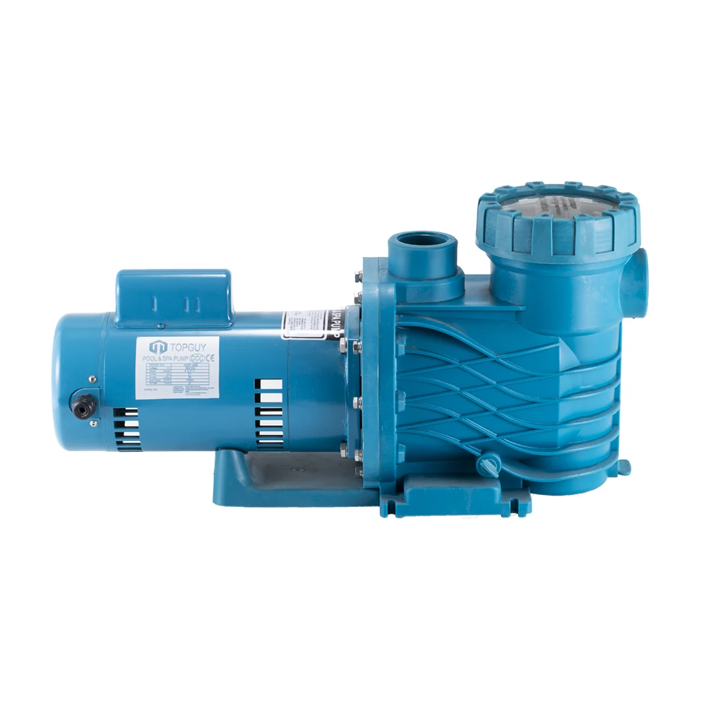 Professional 220V 1.0HorsePowerASP Pool Pump For Clean & Clear Swimming Pools 50HZ Water Filters Compatible 60HZ Frequency Spa T