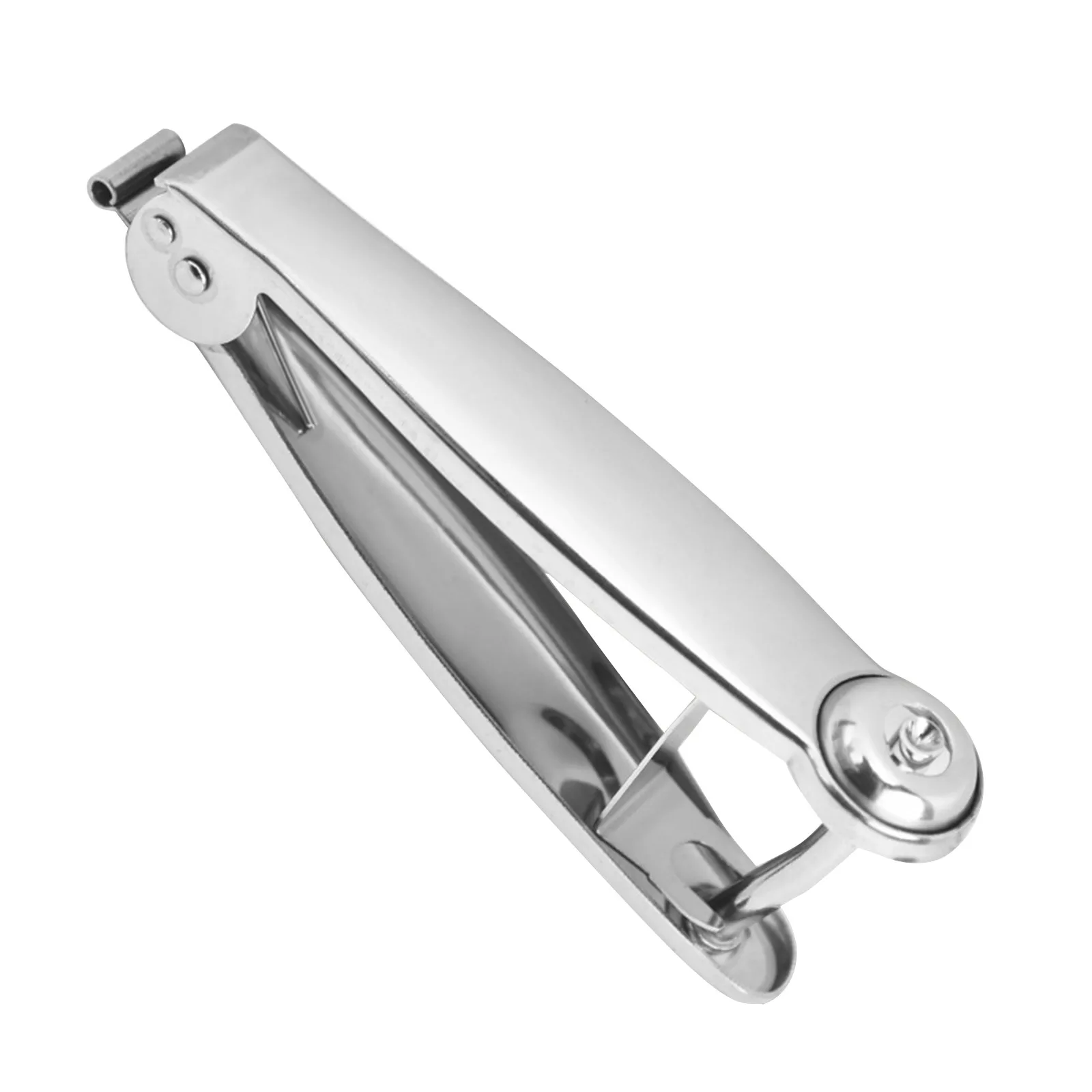 1PC Cherry Pitter Tool 304 Stainless Steel O live Pitter Tool Plum Pitter Cherry Stone Remover For Make Cherry Juice Cherry
