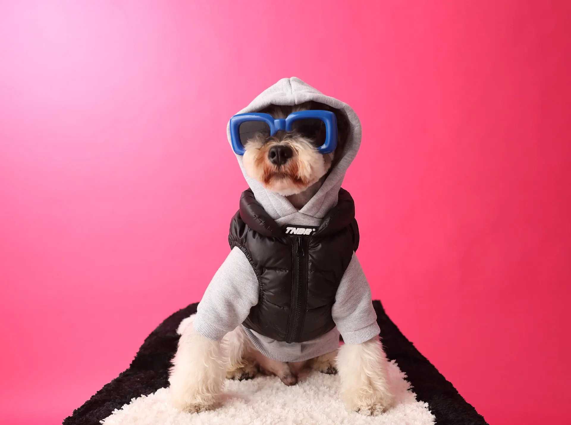 

Black Small Dogs Down Jacket For Puppies High-Quality Thick And Warm Winter Pet Coat