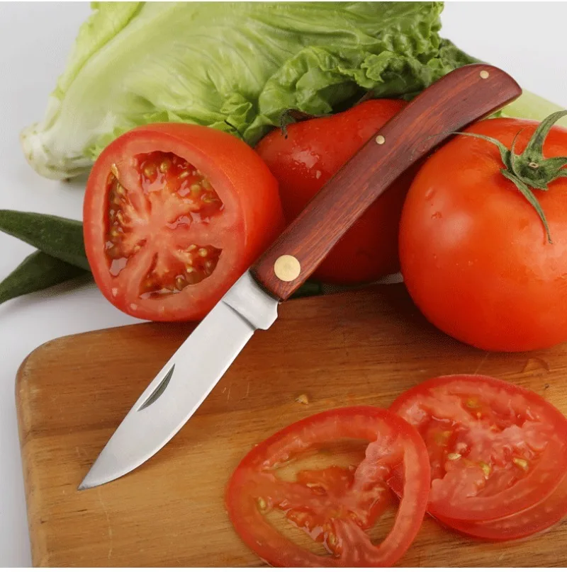 Coltello da tasca in acciaio inossidabile coltello per sbucciare la frutta manico in legno coltelli da cucina multifunzionali piccoli