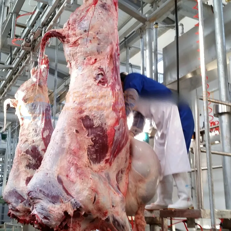 خط ذبح الماشية مطابقة إجراءات ذبح الماشية