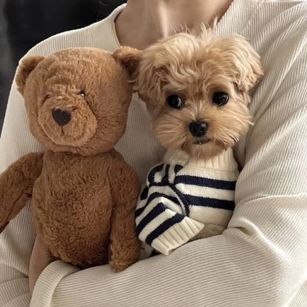 New Striped Pattern Dog Clothes Warm Knitted Dog Pullover Dog Sweater Autumn Winter