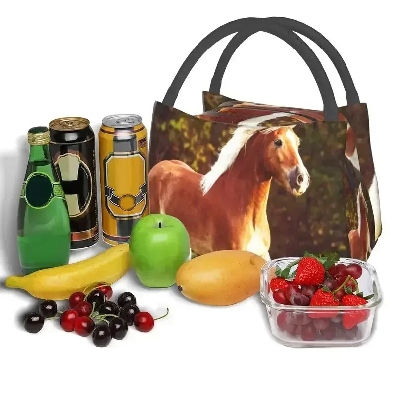 حقائب غداء معزولة حراريًا من Haflinger Horse للنساء، حاوية قابلة لإعادة الاستخدام للتخييم والسفر، صندوق طعام متعدد الوظائف للوجبات