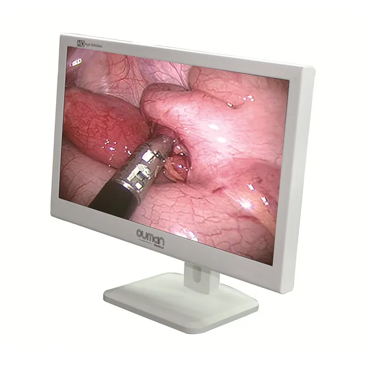 19/24/27 Inch Endoscopic Medical Grade LED Monitor Endoscopy Medical