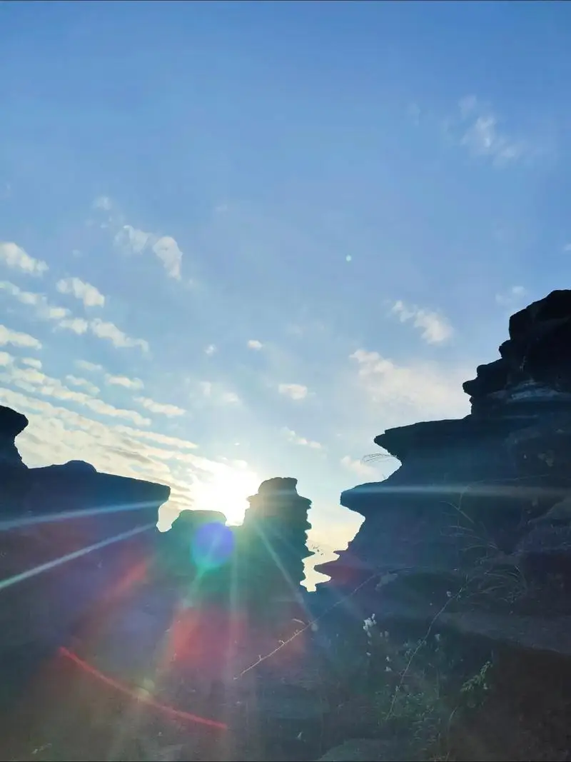 

For Mazda MX-5 ND 2015-2020 4Pcs LED Interior Light Number Plate Bulb Kit Vanity Mirror Trunk Lamp Canbus Signal Lamp