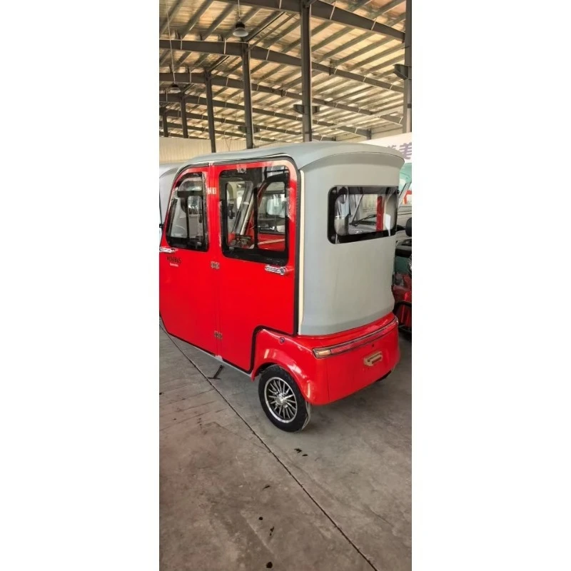 High Appearance Level 800W Electric Tricycle with Intelligent Equipment
