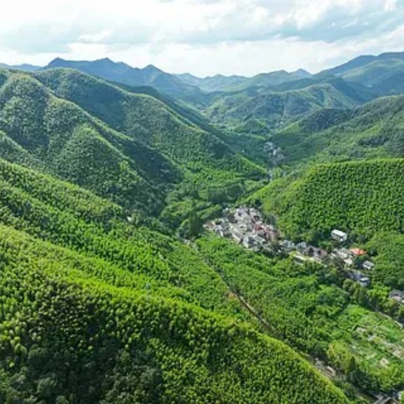 

GEPRC TAKER F722 BLS 100A 8S Stack