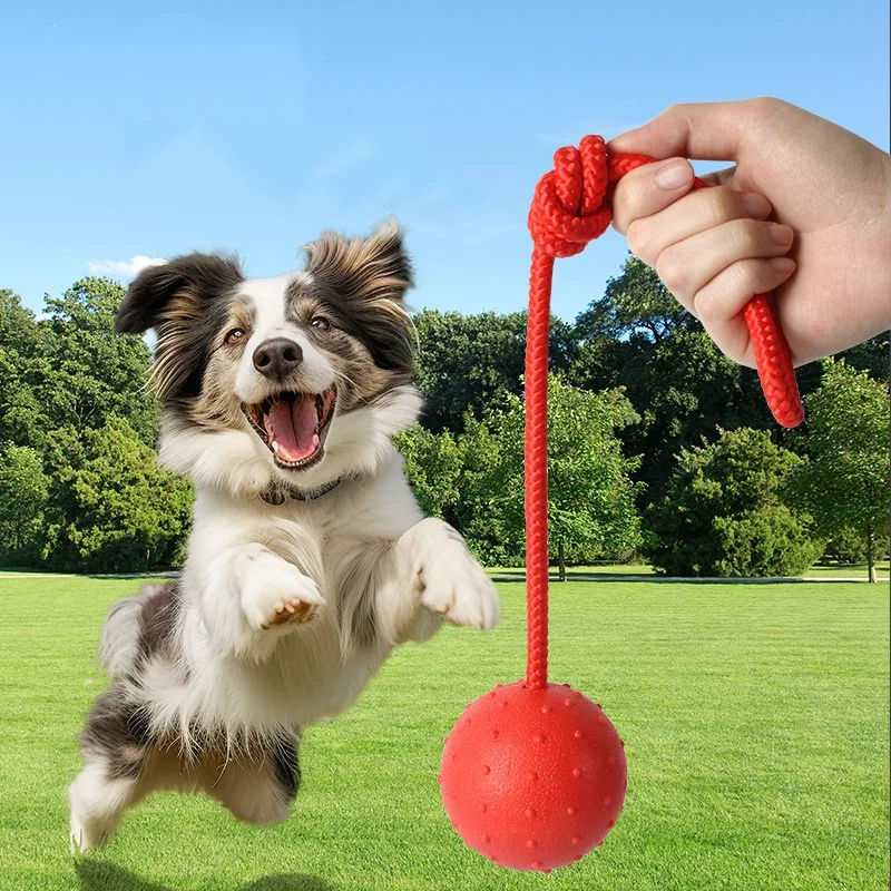 Thumbnail 2 - #10 Compare Puppy Rope Toys Before You Buy