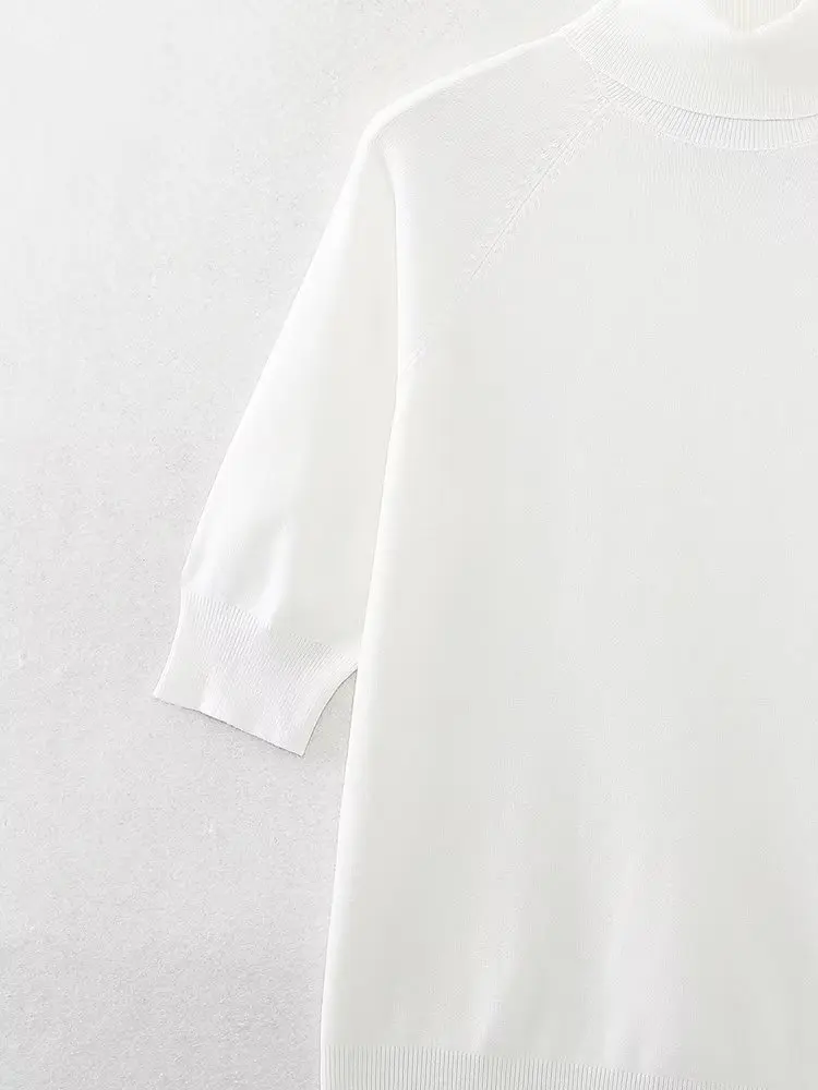 Withered Fashion Office Ladies Casual Solid Color Basic Knitted Tops Turtleneck Autumn And Winter Sweaters Women