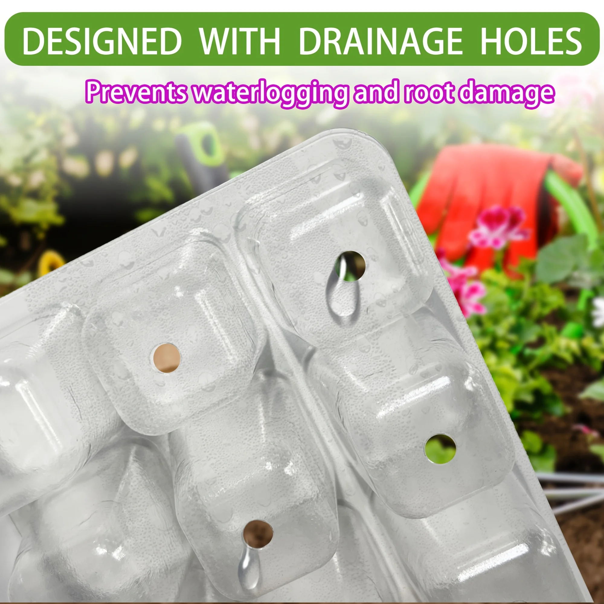 Kit Pembenihan dengan Kubah Ti - Smart Garden Domes ulasan dan harga