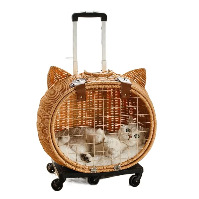 

Cat bag portable go out