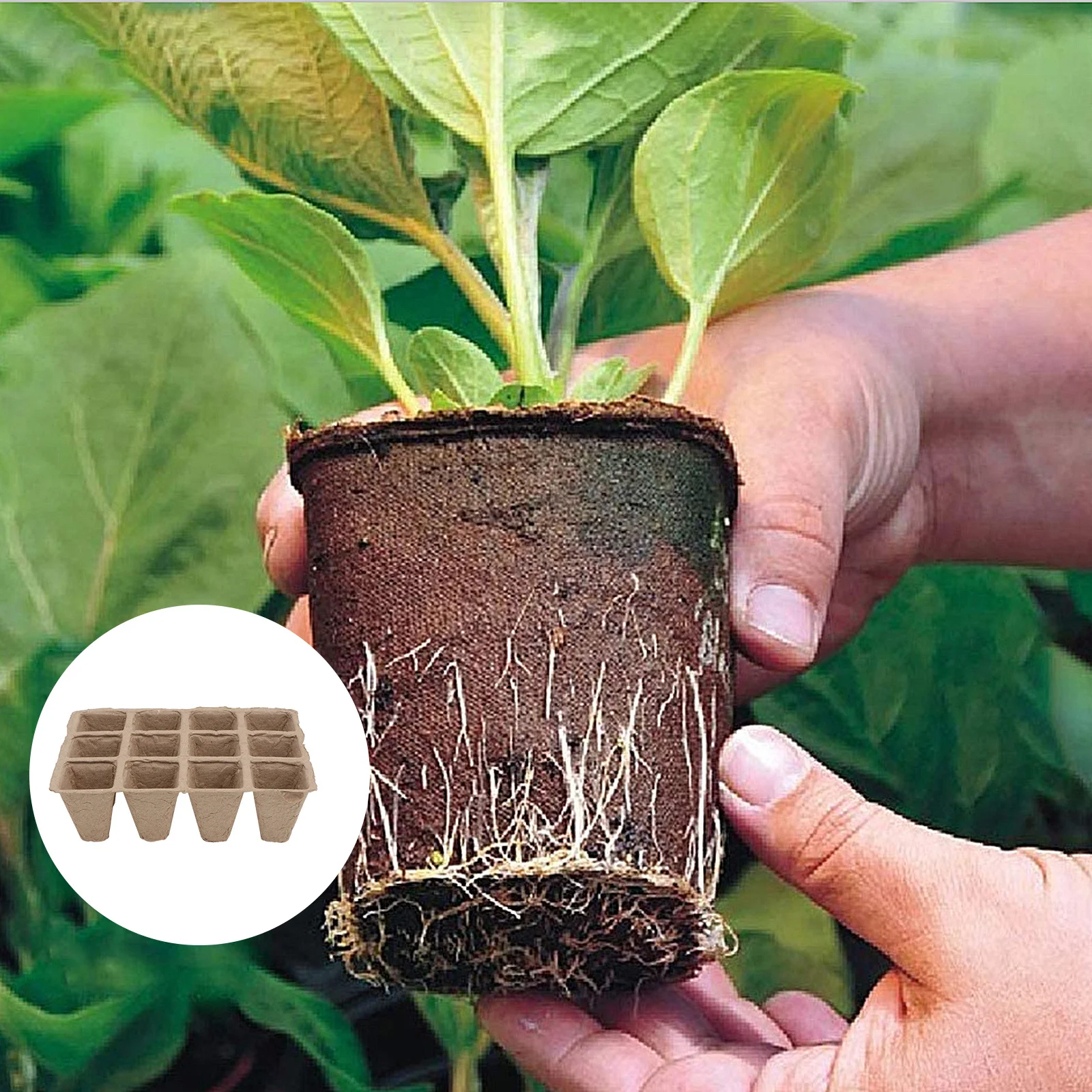 1 セットパルプ苗ポット生分解性植物苗床容器家庭園芸用防湿保温通気性