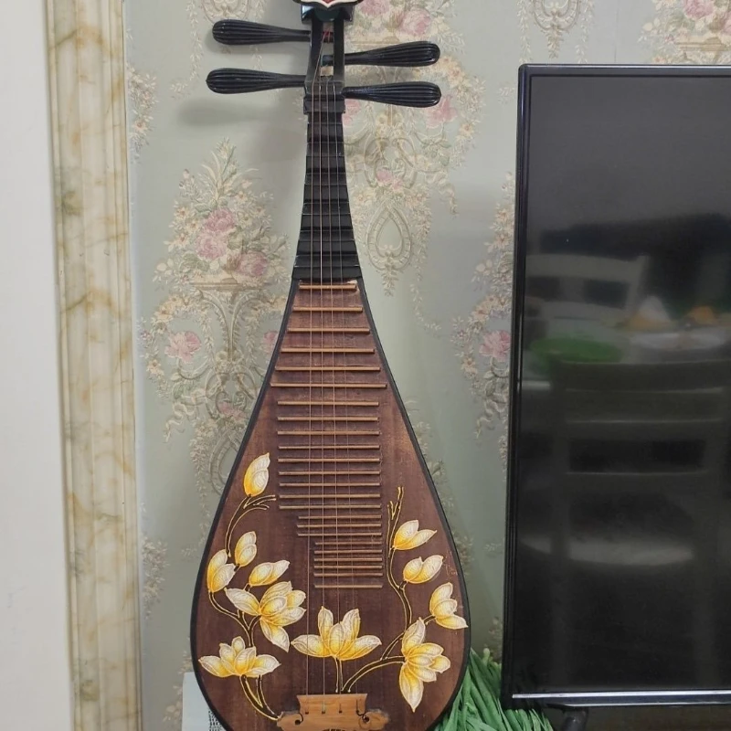 Traditional Wooden Pipa Hand-drawn Retro Lute Beginner Adult Practice Pipa Decorative Classical Ethnic Stringed Instruments