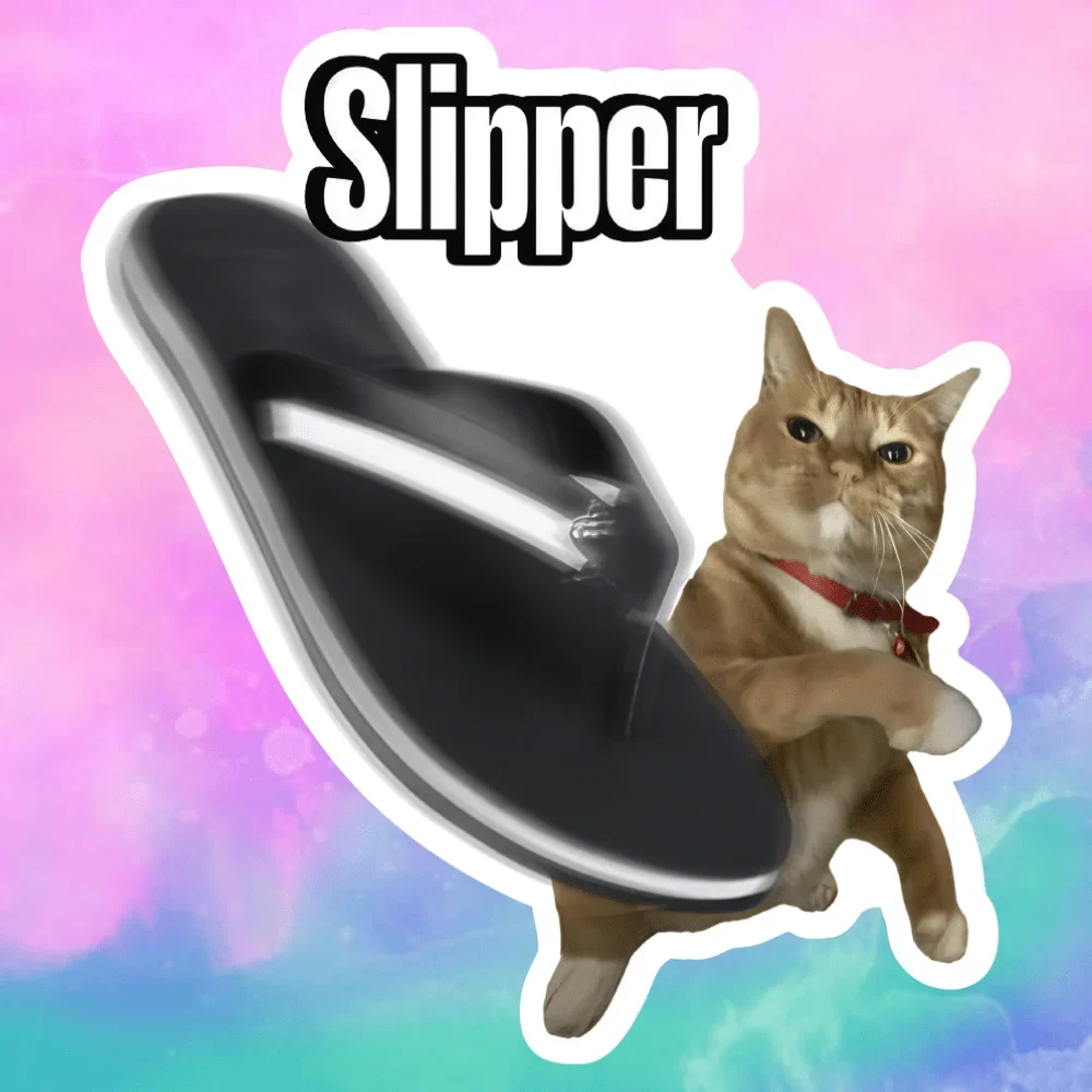 Slipper Cat Meme Waterproof Vinyl Sticker Funny Quirky Decal for Car Bumper Window Motorcycle Helmet Laptop Water Bottle Decor