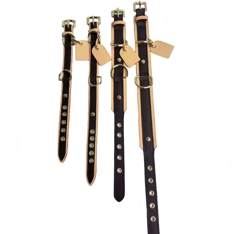 Pet collar teddy dog collar leash cat cute pet fighting dog fashion social cowhide chain  JJ920