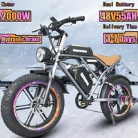 2000W Motor E-bike 48V55AH Dual Battery Electric Bicycle 20*4 Inch Fat Tire Electric Bicycle Hydraulic Brake Adult Electric Bike