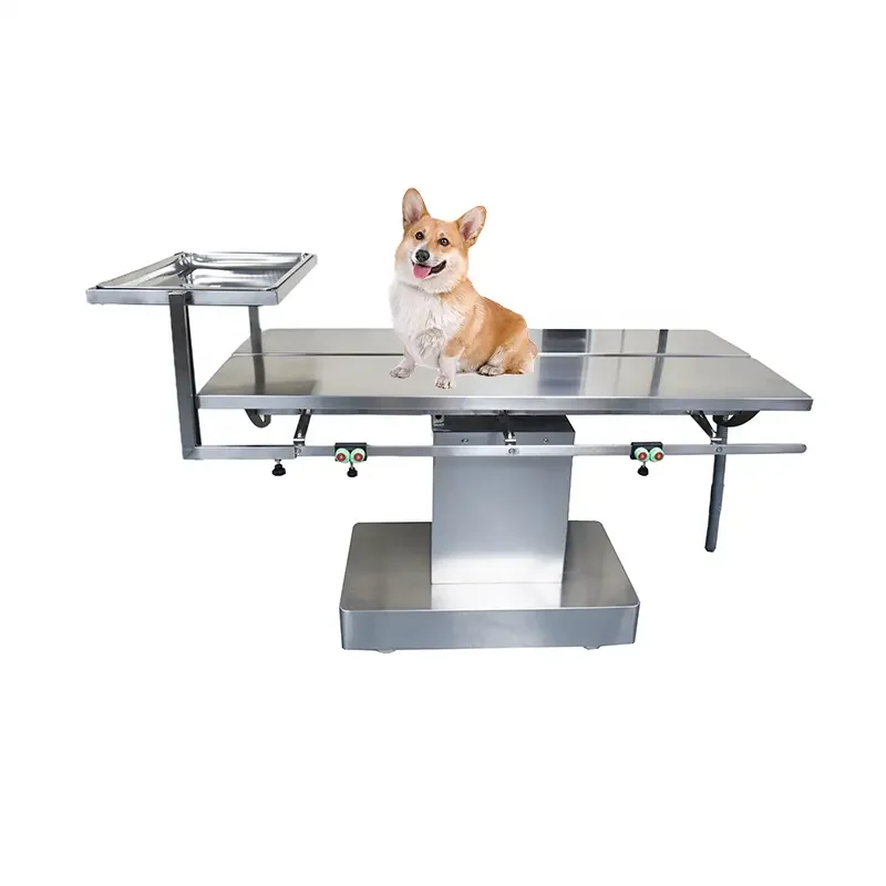 AMSYT-03 Hot Selling Animal Use Pet Treatment Medical Examination Table Movable Veterinary Surgery Table for Animal Use