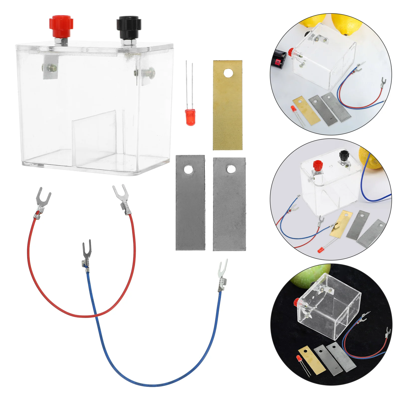 Experimental Equipment Science Kit Fruit Project Scientific Potato Making