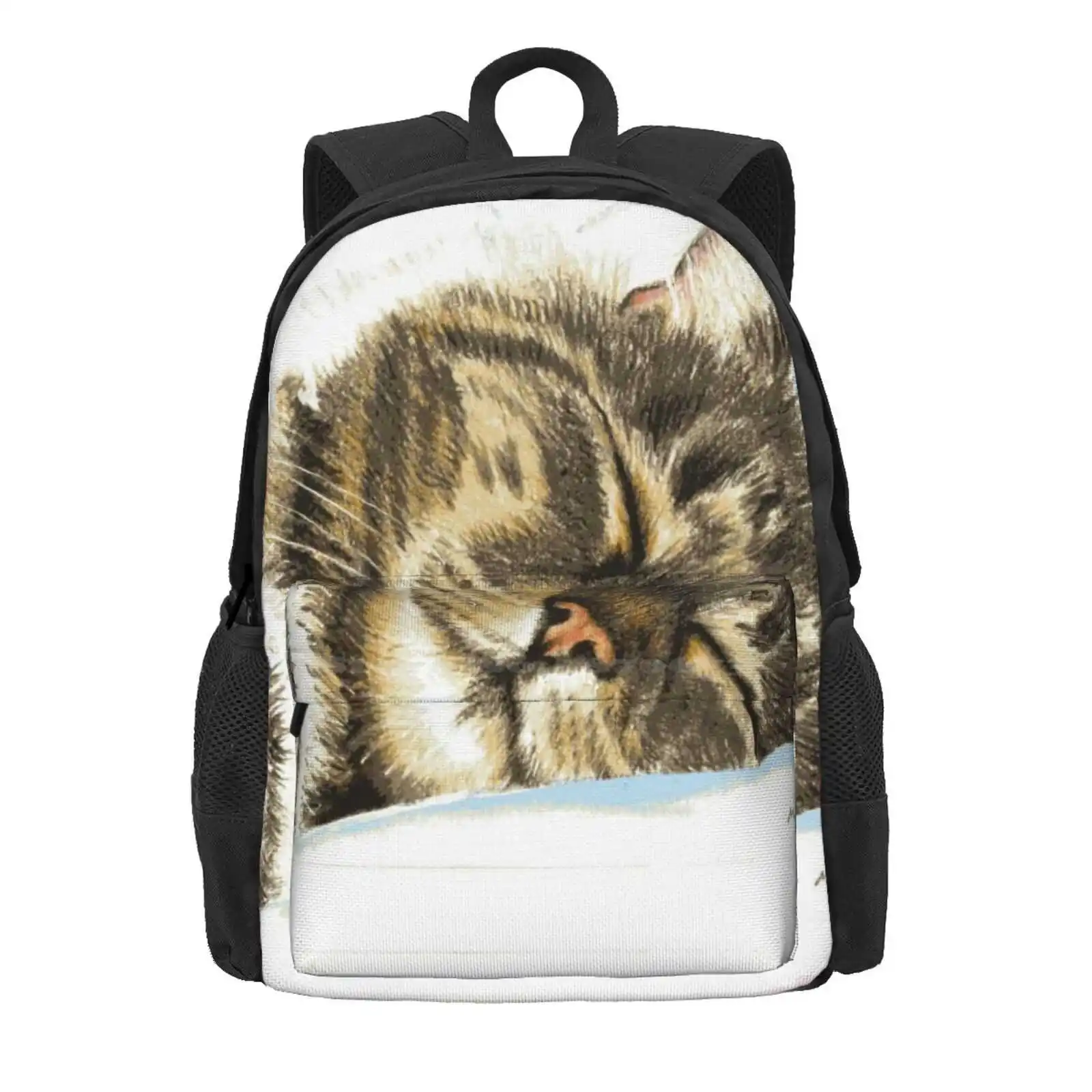 Sleeping Tabby Cat Hot Sale Schoolbag Backpack Fashion Bags Sleeping Tabby Illustration Sleeping Tabby Cat Cat Lover Cat Crazy