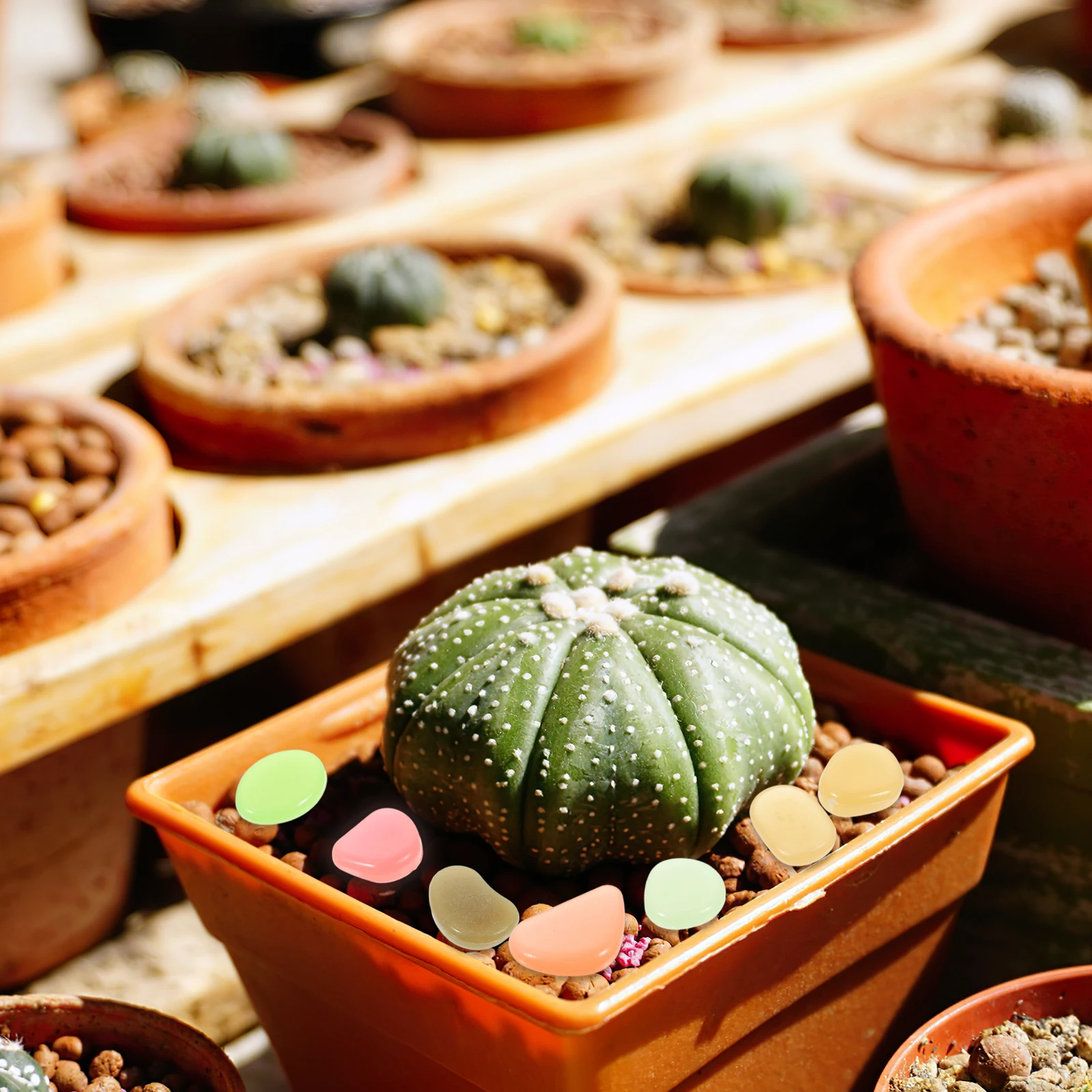 

1 Bag Night Luminous Resin Aquarium Rocks Terrarium Gravel Colored Decorative Stones Perfect Fish Tank Gravel for Aquarium Decor