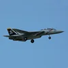 新しい Rc Xfly 40mmedf ジェット F-14 ツインエンジンダクト戦闘機電動モデル固定翼航空機 Pnp 高速リモコンおもちゃ 3