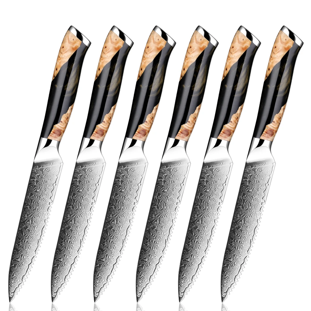 

2-6Pcs Damascus Steak Knife Set 67Layer Japanese VG10 Steel Razor Sharp Serrated Blade Black Resin&Natural Wood Pattern Handles