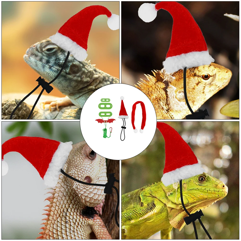 

Lizard Leash Halloween Costume Towing Rope Reptile Supplies Hat Scarf Walking Premium Lightweight Adjustable