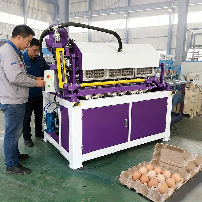 Paper Egg Tray Production System Pulp Molding Machine Egg Carton Making Equipment Waste Paper Recycling Industrial Use Custom
