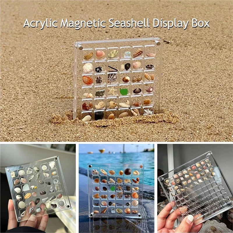 AIAI Display Box Acrylic Seashell Display Box Transparent Acrylic Seashell Storage Box Display Box(36 Grids)