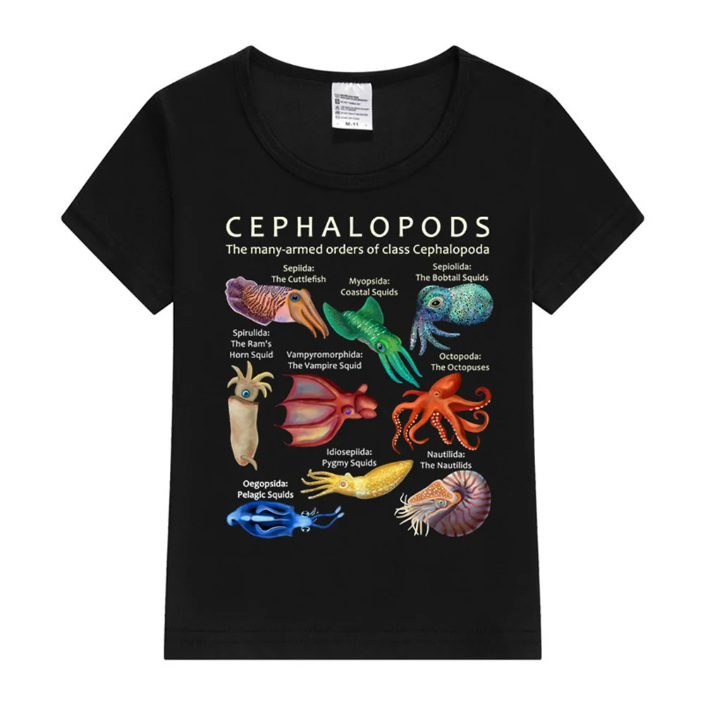 The Cephalopod Octopus Squid Nautilus and Cuttlefish  T-Shirt  Kawaii T Shirt Anime Cartoons Casual  Y2K Top