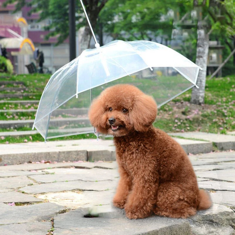 For Small Dogs Adjustable Doggy Umbrella Pet Umbrella Leash Rainproof Snowproof Dog Umbrella Leash