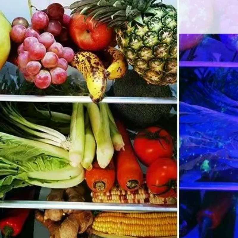 

Portable EDC UV Flashlight 365nm Purple Light Rechargeable LED Light Pet Urine Scorpion Hygiene Detector Torch Lamp