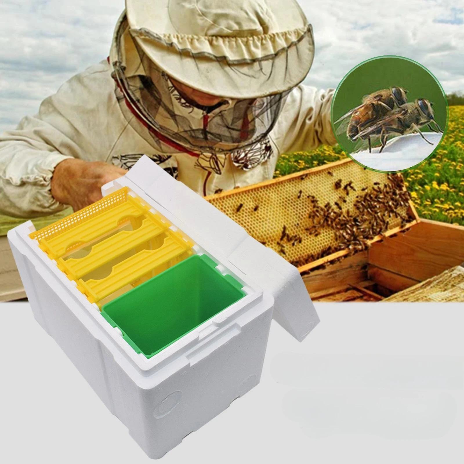 18 Pieces Mini Nuc Beehives with Removable Feeder for Queen Breeding And Pollination Plastic Frames Beekeeping Mating Beehive